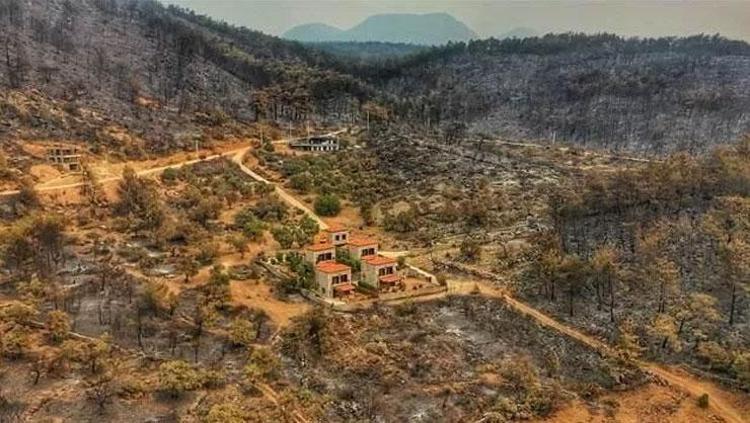 Son dakika:  Bodrum ve Milas yangınının ardından yürek yakan görüntüler