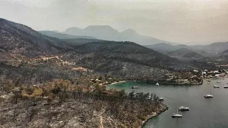 MUĞLADAKİ YANGINLARDA SON DURUM