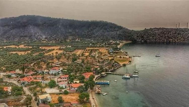 Son dakika:  Bodrum ve Milas yangınının ardından yürek yakan görüntüler