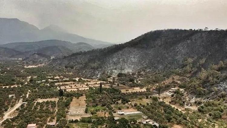 Son dakika:  Bodrum ve Milas yangınının ardından yürek yakan görüntüler