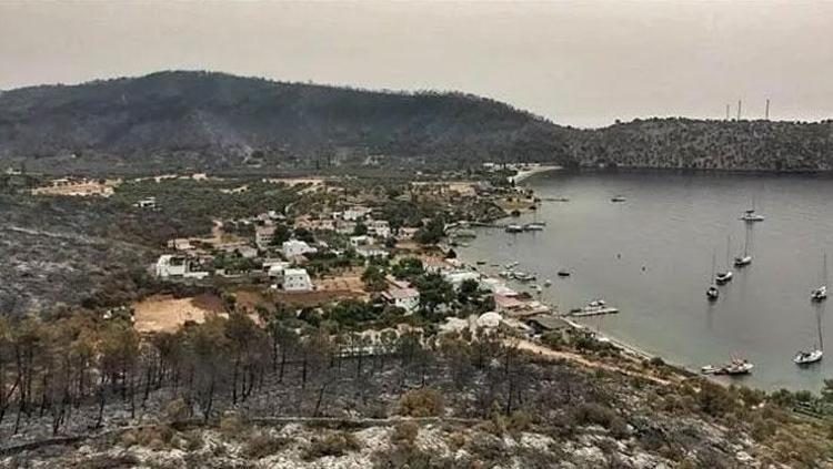 Son dakika:  Bodrum ve Milas yangınının ardından yürek yakan görüntüler