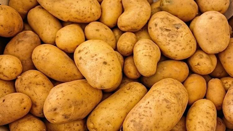 A vitamini hakkında bilmeniz gerekenler