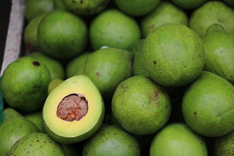 Avokado neden günlük diyet planınızın bir parçası olmalı