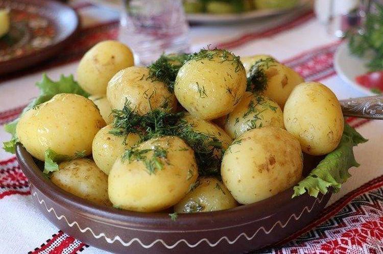 PATATES VE NİŞASTA
