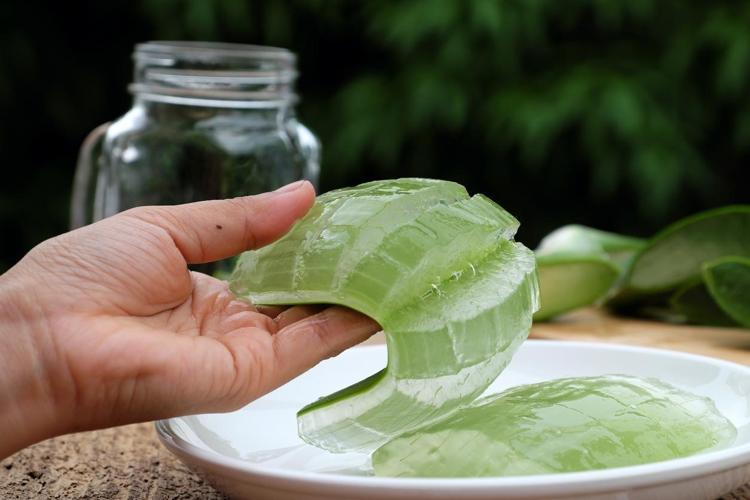 Aloe verann bilinmeyen faydalar - Beden Sal