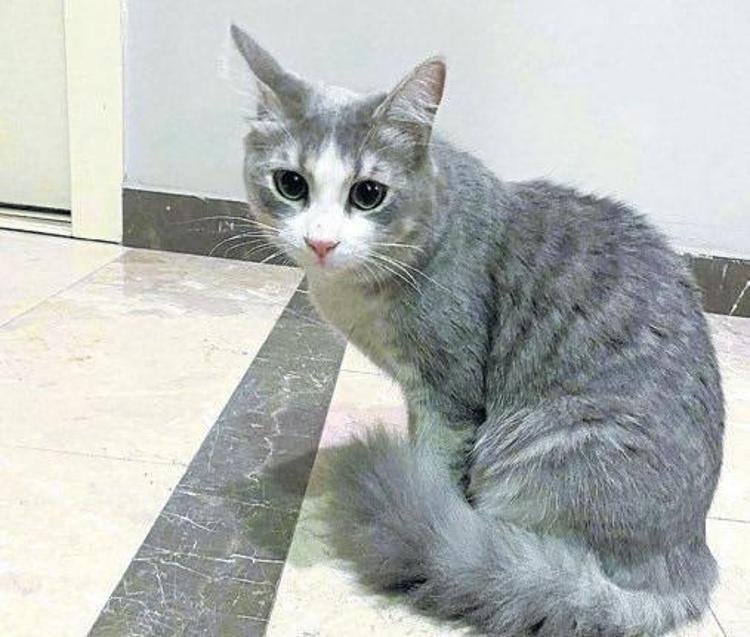 SOSYAL MEDYADA PAYLAŞTIM