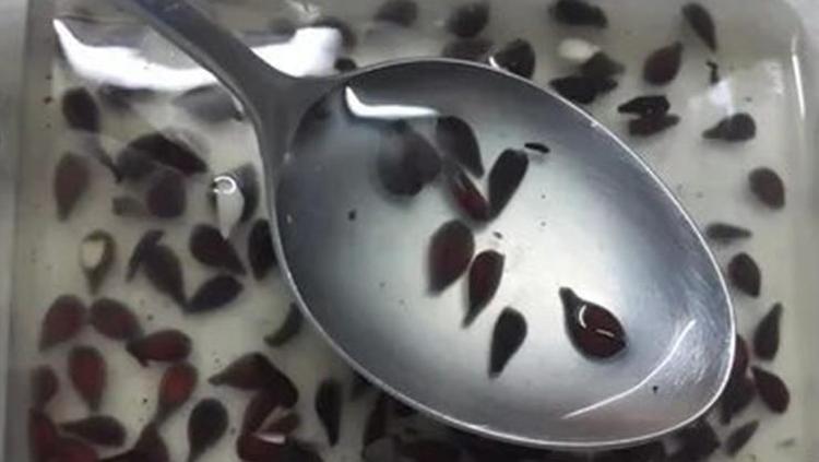 EKSTRA SIKI BİR CİLT ETKİSİ İÇİN AYVA ÇEKİRDEĞİ JELİ KULLANIMI