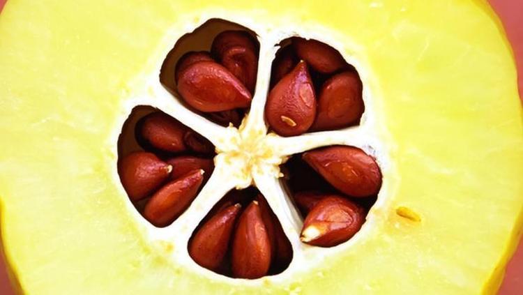 AYVA ÇEKİRDEĞİ JELİ SAÇ MASKESİ