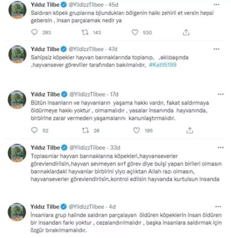 Yıldız Tilbeden sokak hayvanları için şok sözler Zehirli et verin, gebersinler