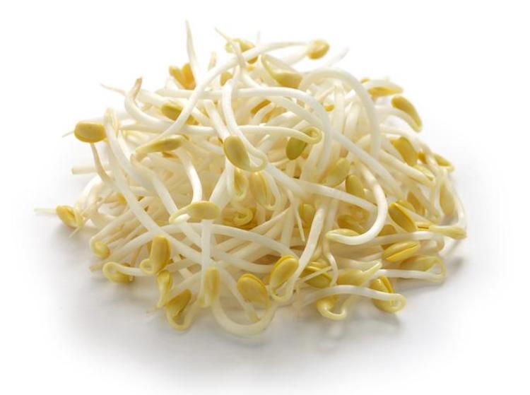 DOĞAL BOTOKS SOYA FİLİZİ