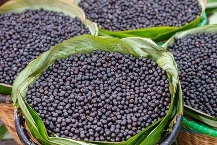 ACAİ ÜZÜMÜNÜN FAYDALARI