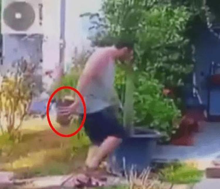 KAFAM İYİ OLDUĞU İÇİN TAM DÖVEMEDİM