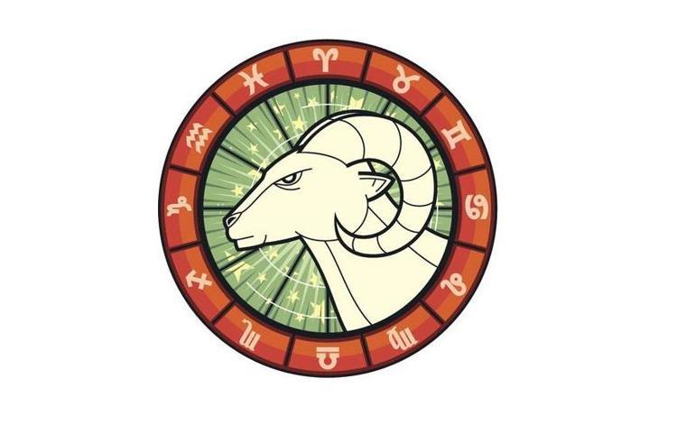 5-KOÇ BURCU