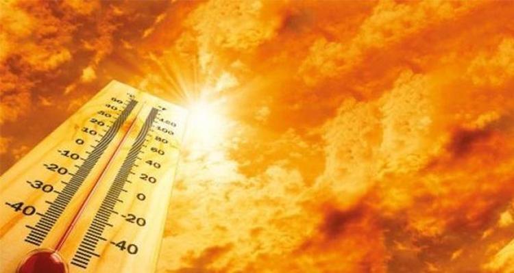 ORTA ve DOĞU KARADENİZ