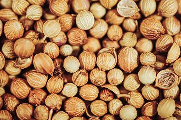 Bir tanesi bile metabolizmayı makineye dönüştürüyor Yağları parçalayıp yok ediyor, fazlalıkları eritiyor