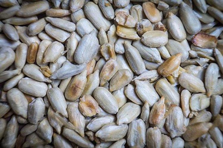 Bu mucize yiyecek sayesinde hamile kalmak artık daha kolay