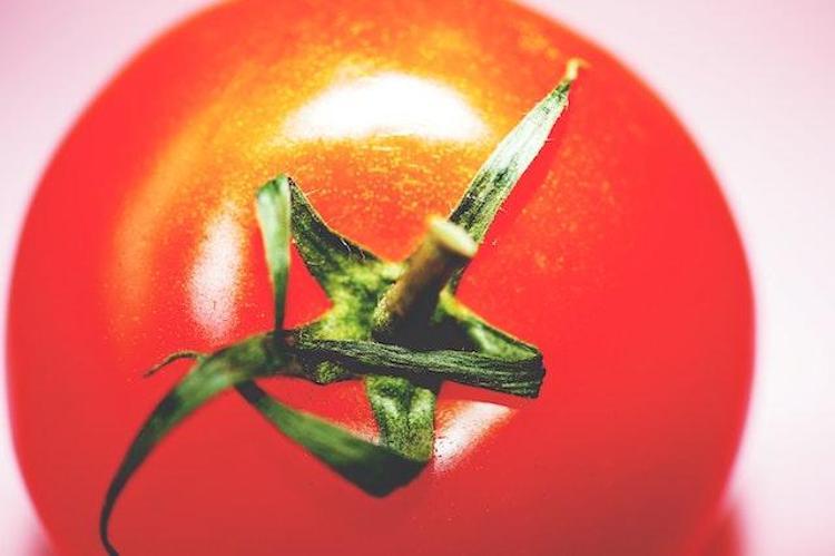 Ayrıntılı Rüya Tabirleri: Rüyada domates görmek ne anlama gelir?