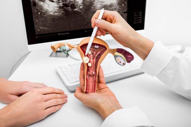 Endometrium nedir, ne işe yarar Endometrial kanser belirtileri nelerdir