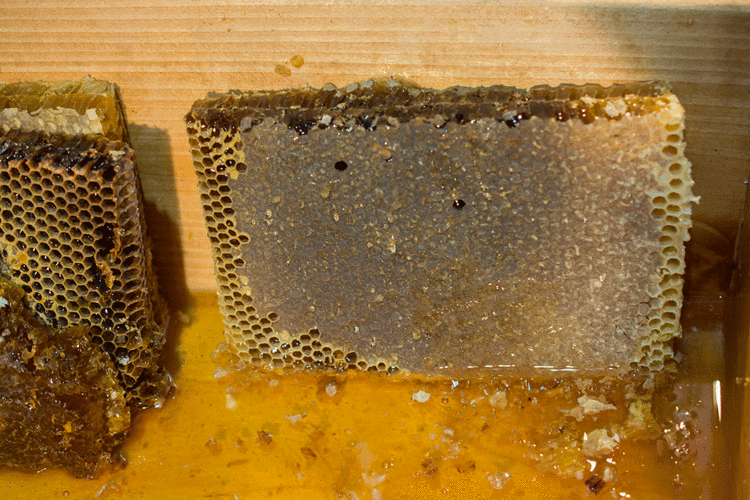 Evinizde mutlaka bulundurun: Bronşitin şifası onda