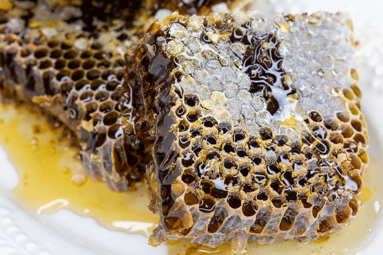 Evinizde mutlaka bulundurun: Bronşitin şifası onda