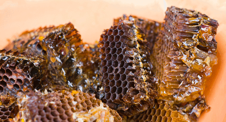 Evinizde mutlaka bulundurun: Bronşitin şifası onda