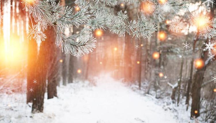 Yılbaşında kar yağacak mı? 31 Aralık ve 1 Ocak'ta hava nasıl olacak?  Meteoroloji açıkladı! - Gündem Haberleri