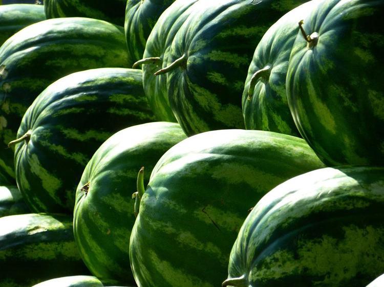 Bağışıklığı güçlendiriyor Vücudu gençleştiriyor