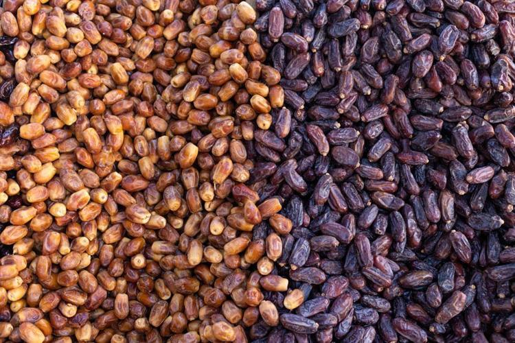 HURMA GÜÇLÜ BİR ANTİOKSİDAN KAYNAĞI