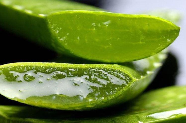 ALOE VERA MASKESİ İLE SIKI GÖZENEKLER VE GENÇ CİLT