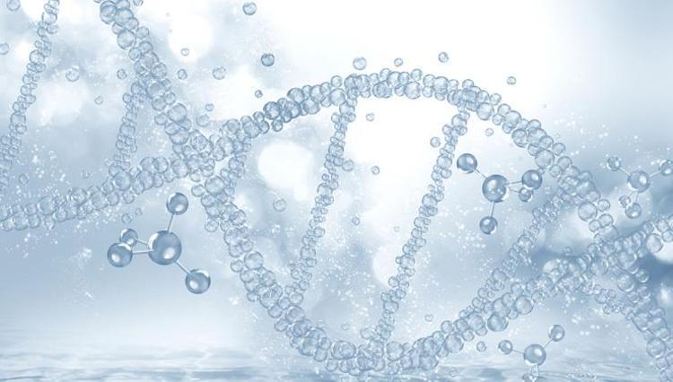 Glutatyon içeren besinler nelerdir En çok glutatyon hangi gıdalarda var