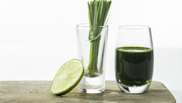 Glutatyon içeren besinler nelerdir En çok glutatyon hangi gıdalarda var