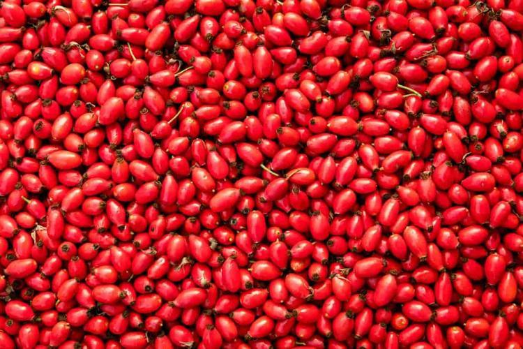 A,E ve C vitaminini en yüksek besin oymuş Düzenli tüketenler kalp ve şeker hastalığı nedir bilmiyor...