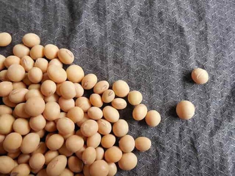 Doğadaki en güçlü D vitamini kaynağı Girdiği evde ömrü en az 10 yıl uzatıyor