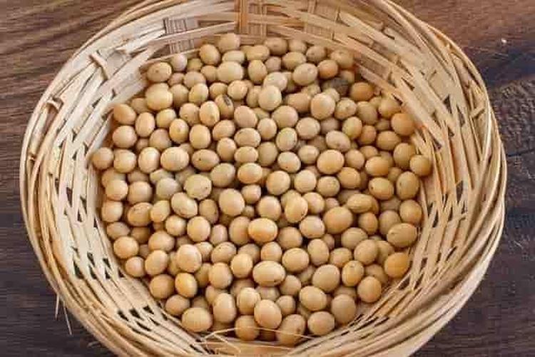 Doğadaki en güçlü D vitamini kaynağı Girdiği evde ömrü en az 10 yıl uzatıyor