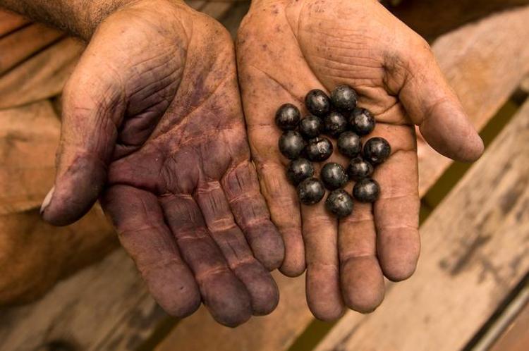 Bunu yiyen doktor yüzü görmüyor Portakaldan bile daha vitaminli