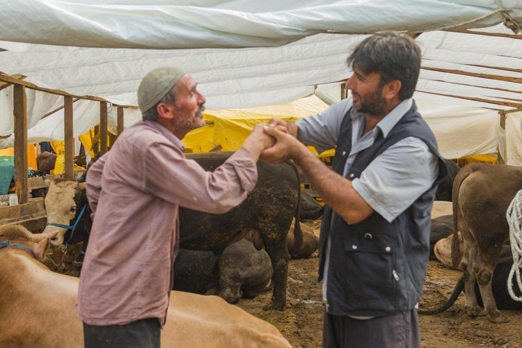 Kurban Kesim Vakti Saat Kaçta Başlar Ve Kaçta Biter? Kurban Keserken ...