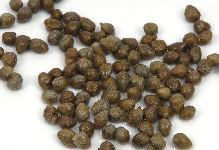 Kaparinin faydaları nelerdir, kapari nasıl tüketilir