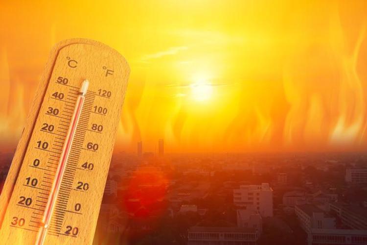 5 GÜNLÜK HAVA TAHMİN RAPORU