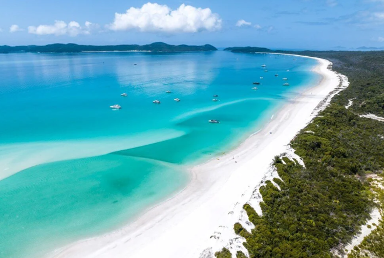 5. Beyazcennet Plajı - Whitsunday Adaları, Avustralya