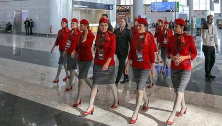 thy kabin memuru alımı 2023 türk hava yolları kadın kabin memur alımı