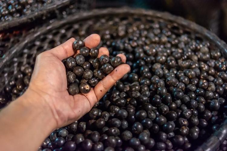 Doktorlar bile hayranlıkla bakıyor: Vitamin değerleriyle onlarca meyveyi solladı Tüketenler hastane kapısından geçmiyor