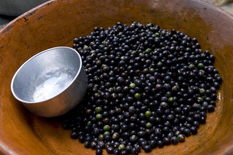 Doktorlar bile hayranlıkla bakıyor: Vitamin değerleriyle onlarca meyveyi solladı Tüketenler hastane kapısından geçmiyor
