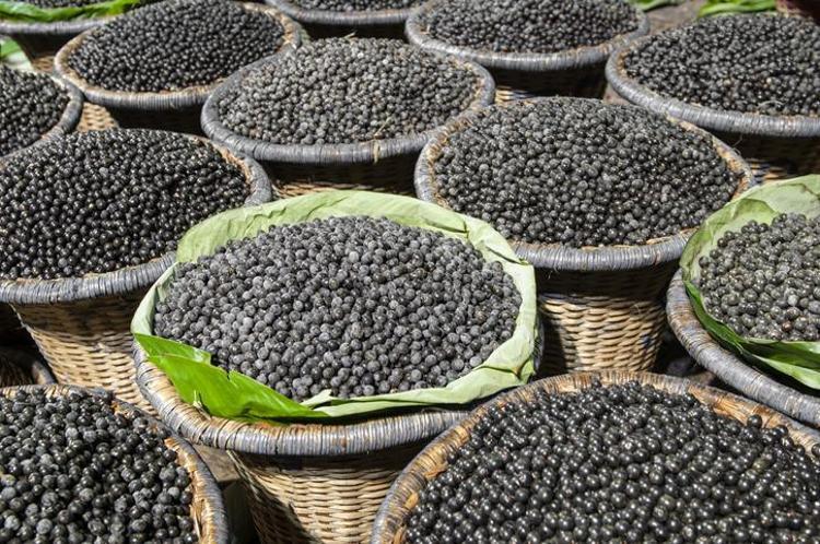Doktorlar bile hayranlıkla bakıyor: Vitamin değerleriyle onlarca meyveyi solladı Tüketenler hastane kapısından geçmiyor