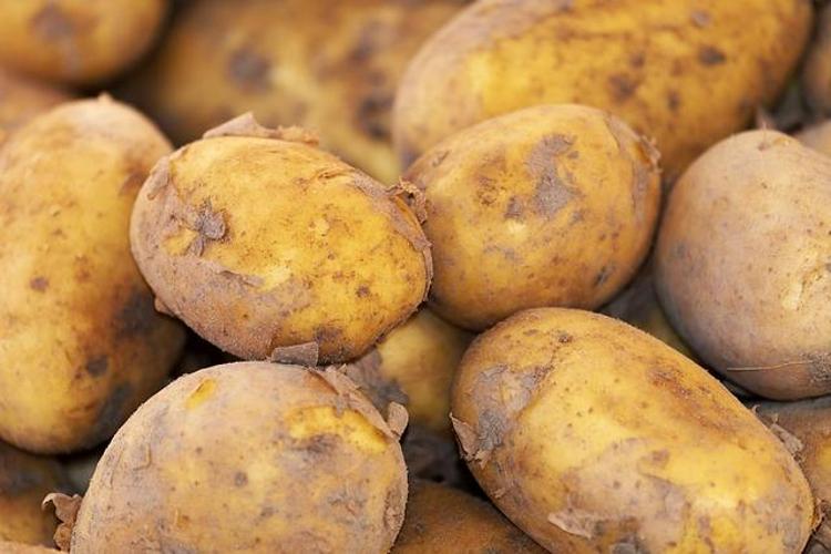 Patates böyleyse ağzınıza bile sürmeyin Sindirim sistemini mahvediyor