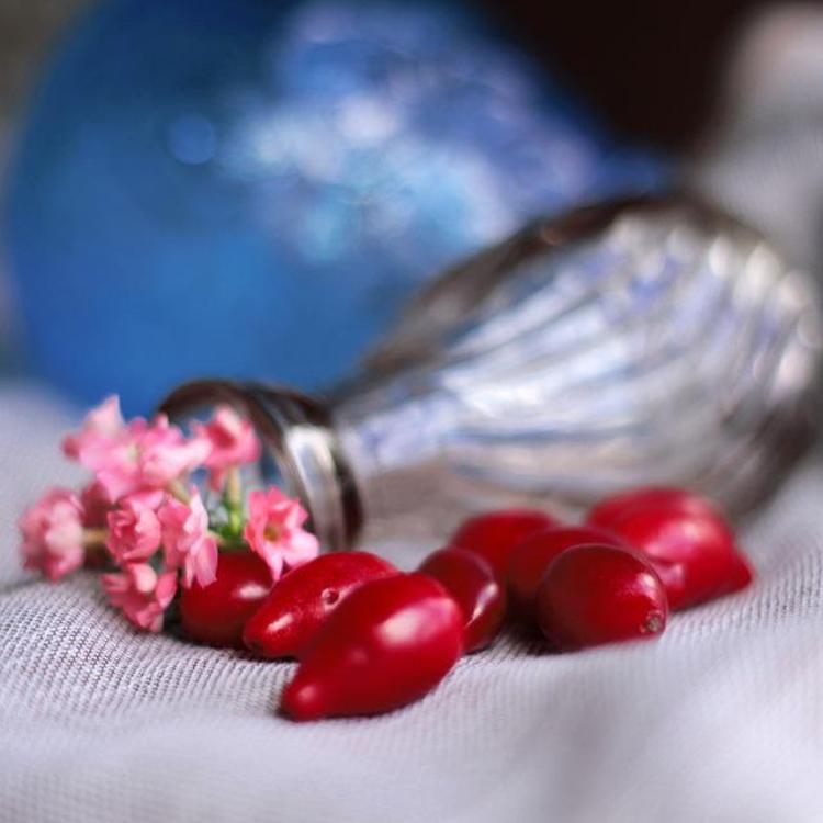 KIZILCIKLA HAZIRLANABİLECEK BİRBİRİNDEN LEZZETLİ TARİFLER