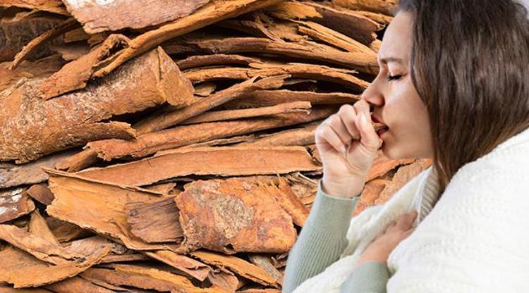 Ne öksürük ne ateş bırakıyor K vitamininde brokoliyle yarışıyor, binlerce yıllık şifa kaynağı