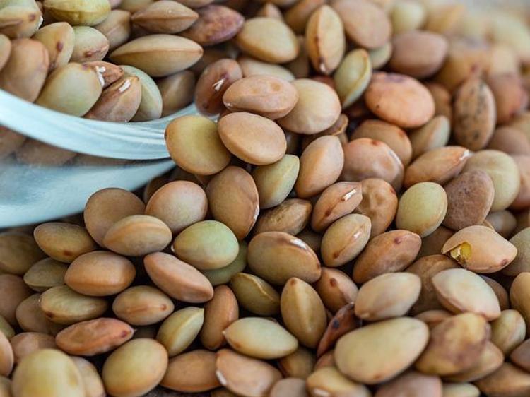 İçinde yumurtadan 10 kat fazla protein var Etin papucunu dama attı, doğadaki en güçlü demir kaynağı...