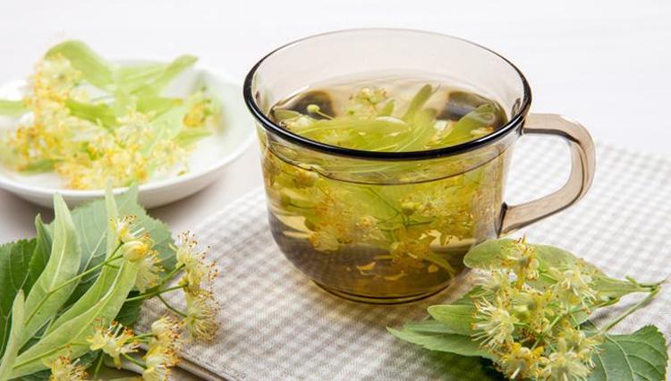 Ihlamurun faydasını kat be kat artırıyor Böyle hazırlandığında akciğerleri temizliyor, balgamdan eser bırakmıyor