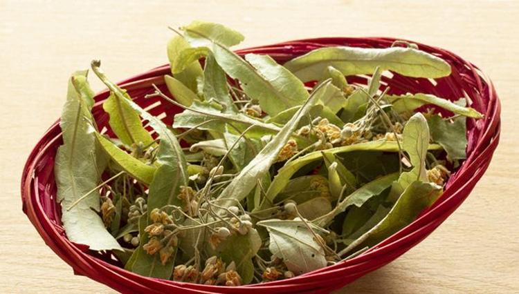 Ihlamurun faydasını kat be kat artırıyor Böyle hazırlandığında akciğerleri temizliyor, balgamdan eser bırakmıyor