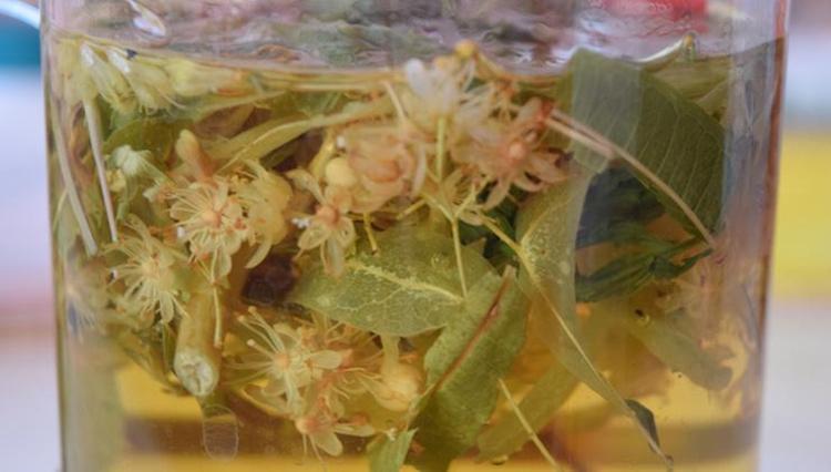 Ihlamurun faydasını kat be kat artırıyor Böyle hazırlandığında akciğerleri temizliyor, balgamdan eser bırakmıyor